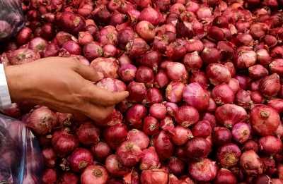 onion prices selling