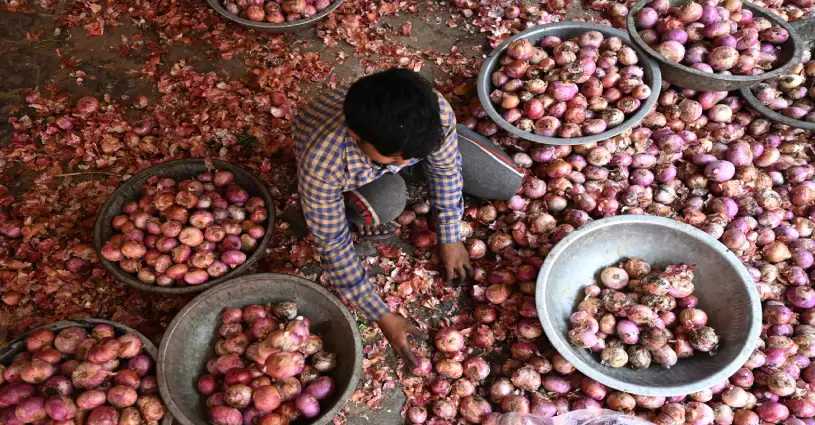India Trending Onion Price Hike