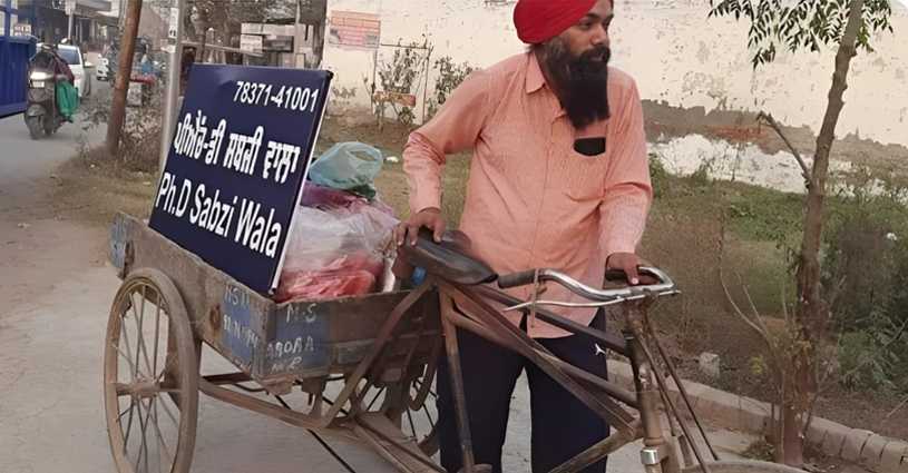 Phd sabzi wala amritsar vegetable vendor amritsar Phd amritsar vendor