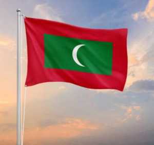maldives suspends three