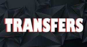 punjab government transfers