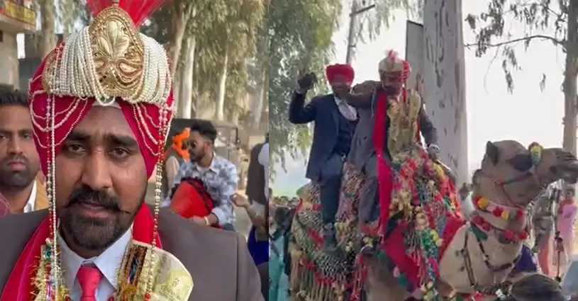 Punjab Trending Ajnala Wedding procession on Camel