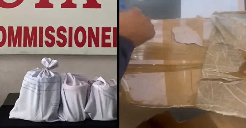'Drugs Courier Service': Jalandhar Police bust international drug cartel, seize 5KG opium addressed to Canada