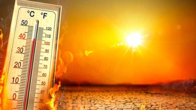 Punjab Trending Heatwave-Punjab