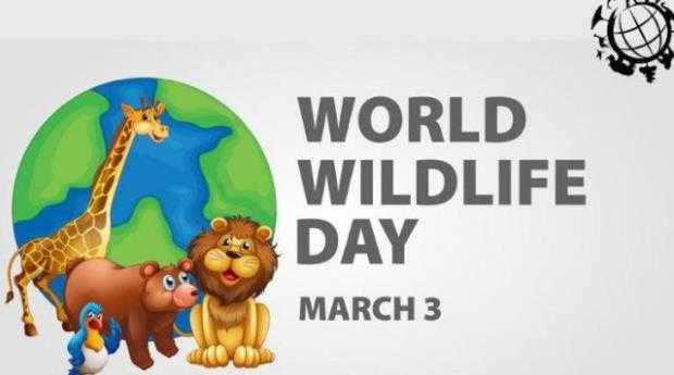 World-wildlife-day world-wildlife-day-2022 Jim-Corbett-National-Park