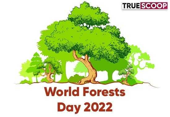 World-Forests-Day-2022 International-day-of-forests save-trees-save-forests