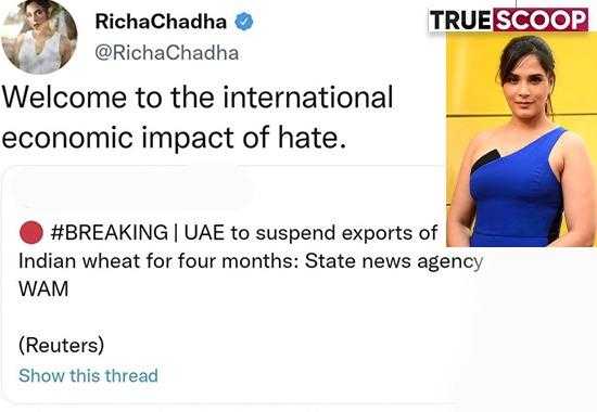 Richa-Chaddha Richa-Chaddha-Trolls Richa-Chaddha-on-UAE
