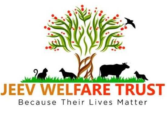 First-Story-Positive Jeev-Welfare Save-Animals