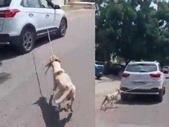 Jodhpur-Viral-Video Viral-Video-Dog Dog-dragged-on-road