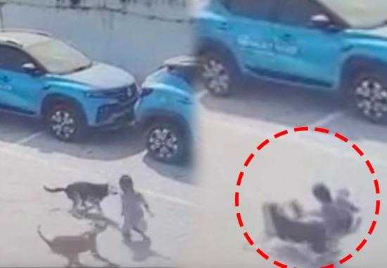 Hyderabad dog-kills-boy 4-year-old-killed-by-dogs