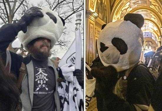 Sedition-Panda Who-is-Sedition-Panda Sedition-Panda-Arrest