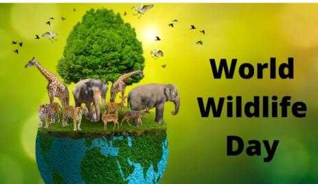 World-Wildlife-Day World-Wildlife-Day-2023 World-Wildlife-Day-significance
