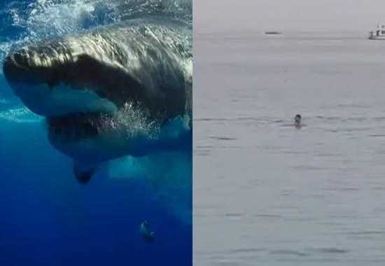 Hurghada-Shark-Attack Egypt-Shark-Attack Red-Sea-Shark-Attack
