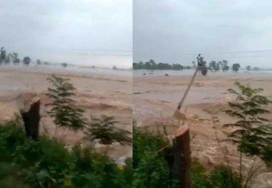 Punjab-Monsoon-Update Punjab-Monson-Report Ludhiana-Monsoon