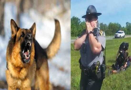 Jadarrius-Rose Ohio-Jadarrius-Rose Ohio-Police-Dog-Attack