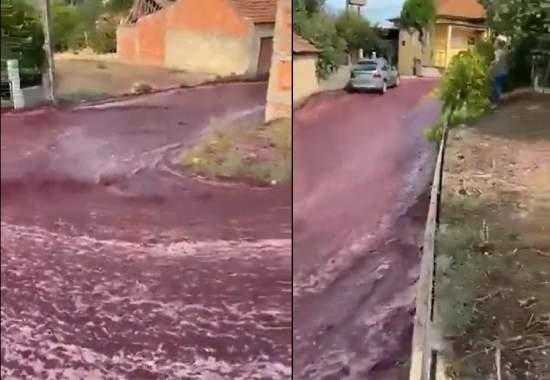Portugal-Red-Wine Portugal-Red-Wine-Flood-Video Portugal-Red-Wine-River-Video
